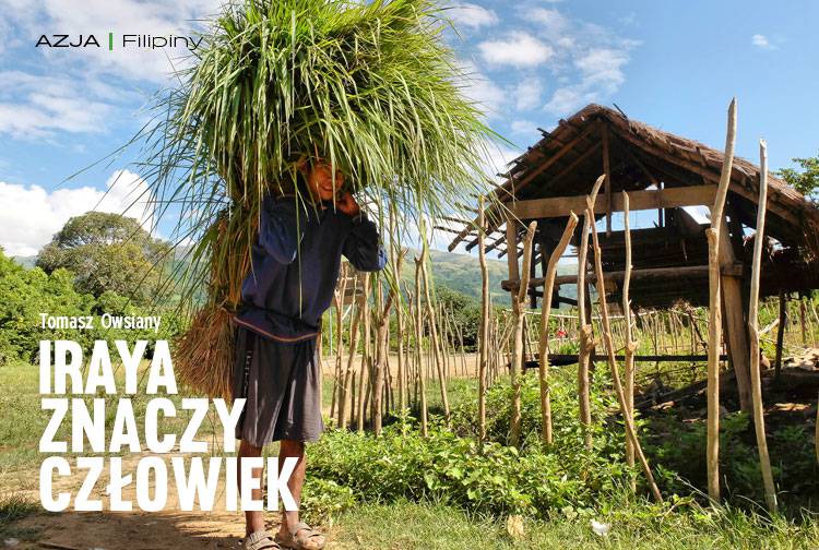 Losowy darmowy artykuł
